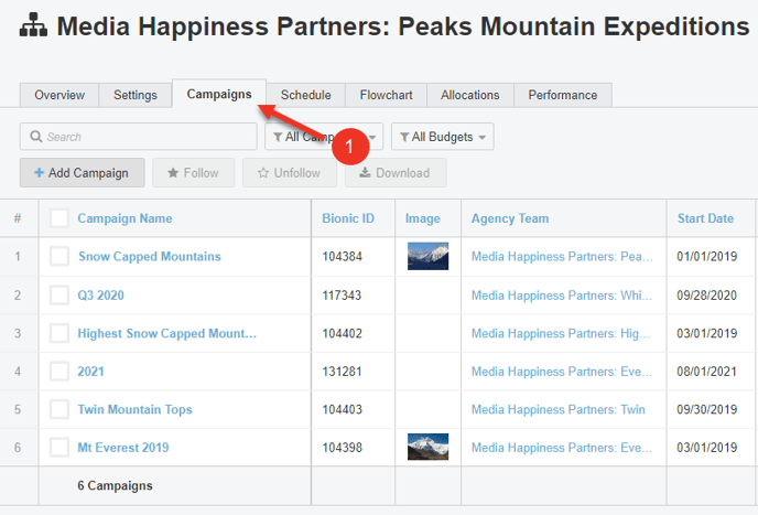 A screenshot of the Campaigns page for an Agency Team.