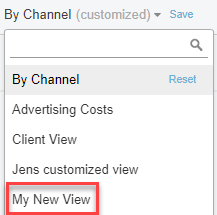 A screenshot of the Customize View list.
