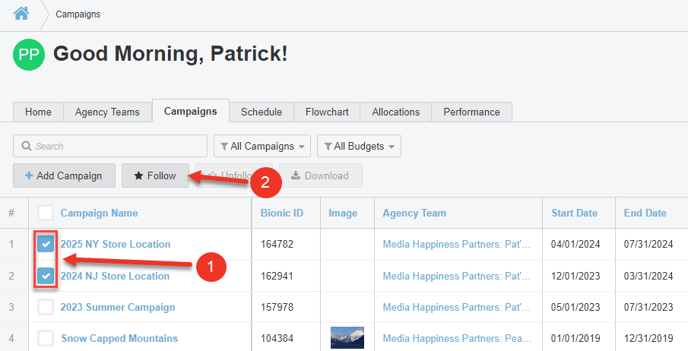 A screenshot of the Campaigns page.