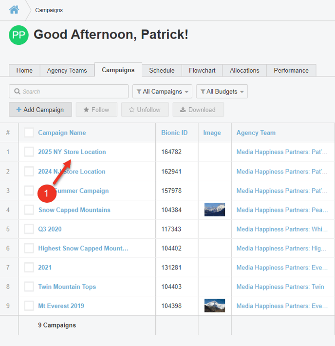 A screenshot of the Campaigns tab in Bionic for Advertisers.