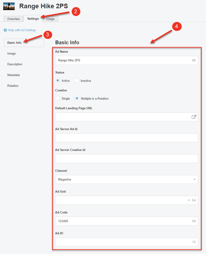 A screenshot of the Basic Info section of the Settings tab of an Ad.