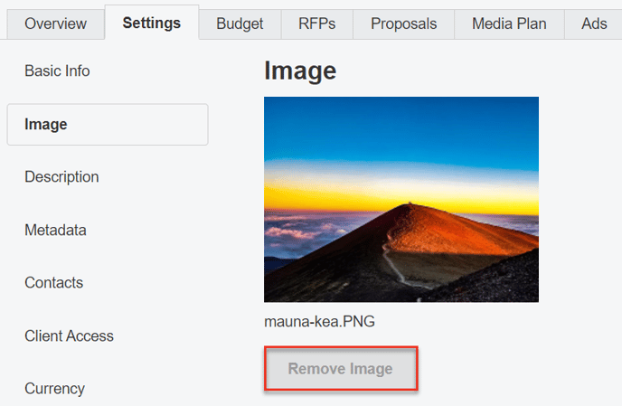 A screenshot of how to Remove an Image for a campaign.