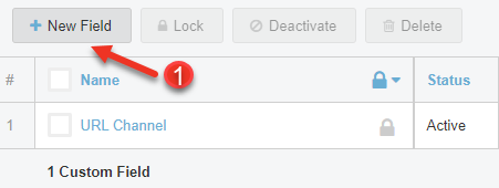 Manage Custom Fields
