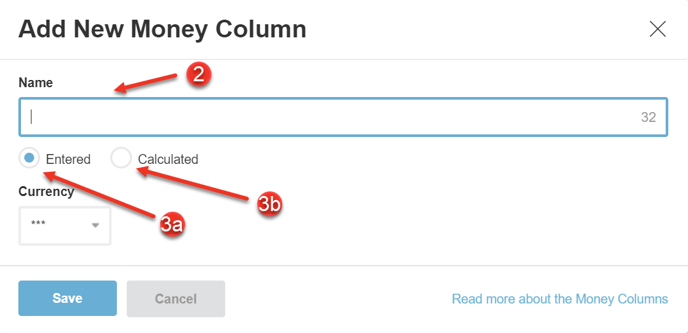 A screenshot of the Money Columns settings fields.