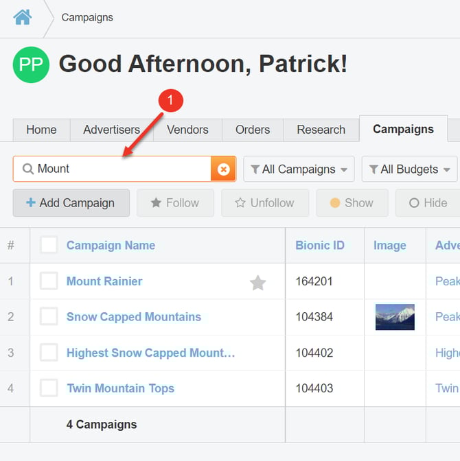 A screenshot of how to use the search box in the Campaigns Tab.