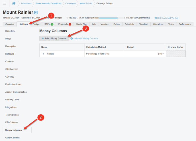 A screenshot of the settings page for a campaign in the money column section.